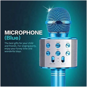 Toy Mic Karaoke Microphone for Kids